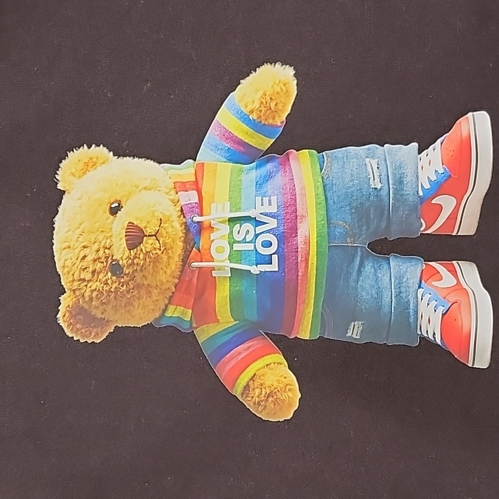 🚨 Black T-Shirt with Teddy Bear Wearing a Rainbow 'Love is Love' Hoodie